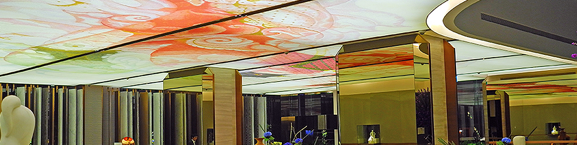 tylish Wall Coverings and Stretch Ceilings Installation