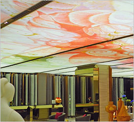 Stretch Ceilings and Wall Coverings - Nakshatra Clipso