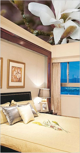 Stretch Ceilings and Wall Coverings - Nakshatra Clipso