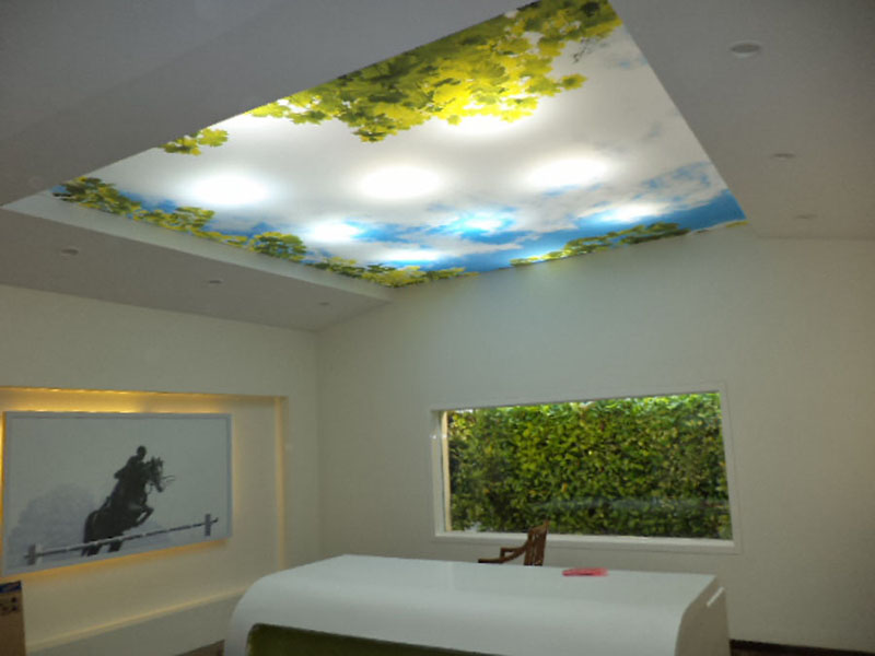 Stretch Ceilings and Wall Coverings - Nakshatra Clipso