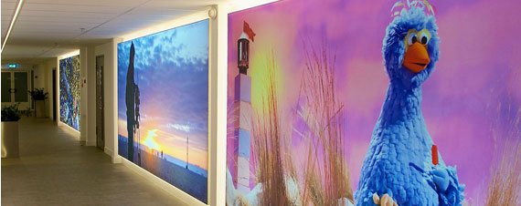 Care Before Installation - Ceilings and Walls